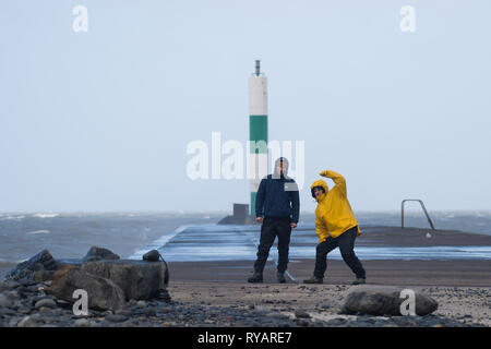 Aberystwyth, UK. 13 Mar, 2019. Regno Unito: Meteo gale force venti di tempesta Gareth - la terza denominata tempesta del 2019 - hit Aberystwyth su Cardigan Bay costa, West Wales UK mercoledì pomeriggio. Raffiche di vento fino a 70 o 80 mph previsioni sono esposte nelle regioni del nord, con il rischio di gravi danni alla proprietà e di gravi interruzioni dei viaggi e servizi di potenza Photo credit: keith morris/Alamy Live News Foto Stock