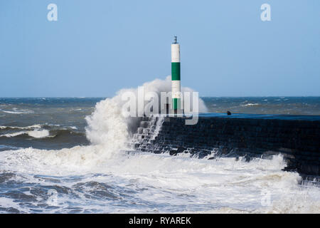 Aberystwyth, UK. 13 Mar, 2019. Regno Unito: Meteo gale force venti di tempesta Gareth - la terza denominata tempesta del 2019 - hit Aberystwyth su Cardigan Bay costa, West Wales UK mercoledì pomeriggio. Raffiche di vento fino a 70 o 80 mph previsioni sono esposte nelle regioni del nord, con il rischio di gravi danni alla proprietà e di gravi interruzioni dei viaggi e servizi di potenza Photo credit: keith morris/Alamy Live News Foto Stock