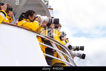 Svalbard, Norvegia; 11 Luglio 2013: persone su una barca, avvistamento di balene Foto Stock