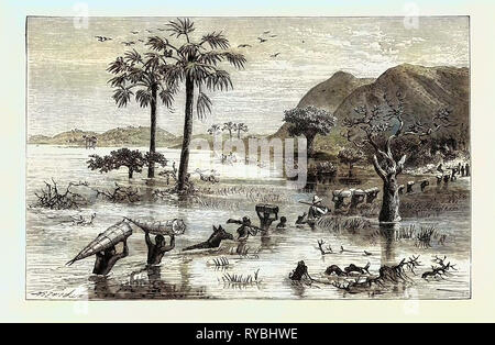 Come ho trovato Livingstone: disagi del viaggio africano: la palude Makata Foto Stock