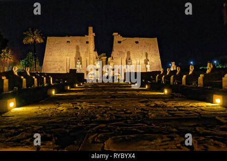 Viale di Sfingi che conduce al tempio di Luxor ingresso Foto Stock