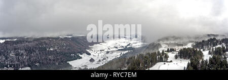 Drone sorprendente colpo di un nevoso foresta alpina. La parte superiore verso il basso drone shot scatti coperta di neve sentieri attraverso una foresta dopo la caduta di neve fresca. Foto Stock