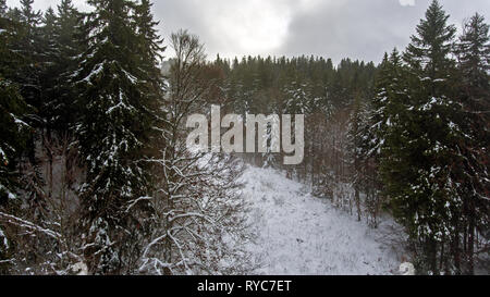 Drone sorprendente colpo di un nevoso foresta alpina. La parte superiore verso il basso drone shot scatti coperta di neve sentieri attraverso una foresta dopo la caduta di neve fresca. Foto Stock