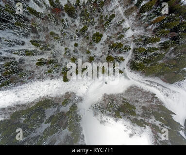 Drone sorprendente colpo di un nevoso foresta alpina. La parte superiore verso il basso drone shot scatti coperta di neve sentieri attraverso una foresta dopo la caduta di neve fresca. Foto Stock