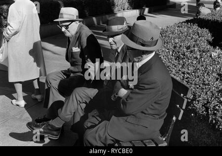 Protezione naso parasole 1960s USA. Uomo che indossa una protezione per il naso una protezione solare la copertura per il naso protegge dai raggi solari. I pensionati di gruppo gli uomini sulla panchina del parco chattano con gli amici, San Francisco California 1969. NOI HOMER SYKES Foto Stock