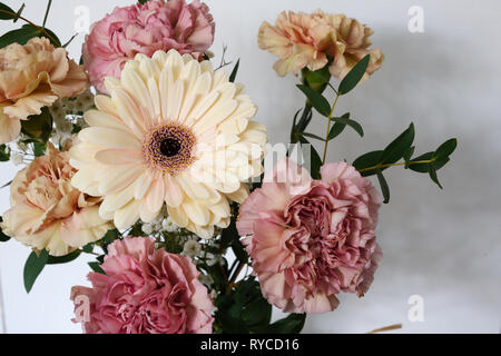 Bel bouquet di garofani e gerbere su uno sfondo neutro Foto Stock