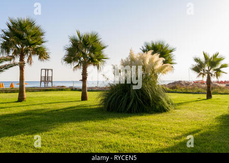 Palme e prati di erba lato mare parco giardino in mattina d'estate. Heraklion Creta Grecia beach park. Viaggiare, relax, il concetto di vacanza Foto Stock