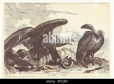 Vulture e un aquila con snake, stampa maker: Peeter Boel attribuite, Peeter Boel, De Poilly, 1670 - 1674 Foto Stock