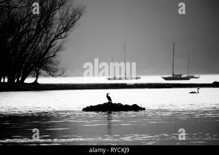 Navi ormeggiate sul fiume con uccello cormorano Foto Stock