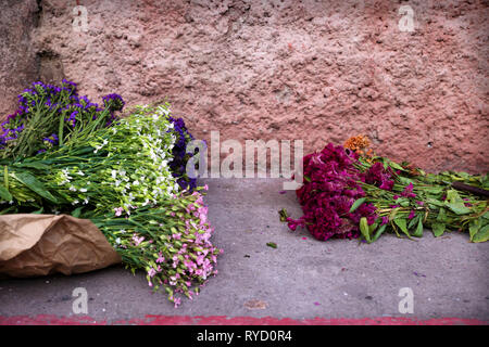 Due coloratissimi cespugli di fiori per decorazione alformbra sulla strada, Antigua, Guatemala Foto Stock