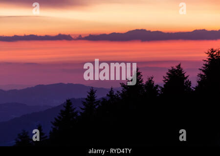 Alberi sagome contro un colore bellissimo cielo al tramonto, con montagne di strati in background Foto Stock