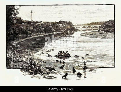 Coldstream Bridge, da Up-Stream. Coldstream Bridge, collegando Coldstream, confini scozzesi con Cornhill On Tweed, Northumberland, è un edificio del xviii secolo Il Grade II* elencati di ponte tra Inghilterra e Scozia, attraverso il fiume Tweed. Una targa sul ponte commemora il 1787 Visita del poeta Robert Burns a Coldstream. di nota storica è la casa di pedaggio sul lato scozzese del ponte, che divenne tristemente famoso per il Runaway i matrimoni che vi si tenevano, come a Gretna Green. Essa ha cessato di essere un ponte a pedaggio nel 1826. Regno Unito Foto Stock