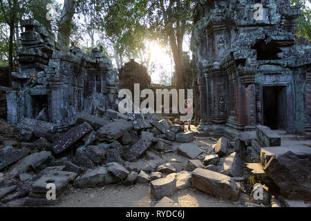 Donna visitando antiche Ta Prohm tempio di Angkor area archeologica in Cambogia al tramonto Foto Stock