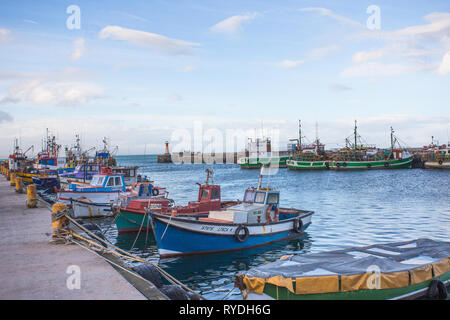 Barche da pesca colorata o multicolore ormeggiate per la sera a Kalk Bay Harbor o porto, False Bay, Cape Peninsula, Sud Africa Foto Stock