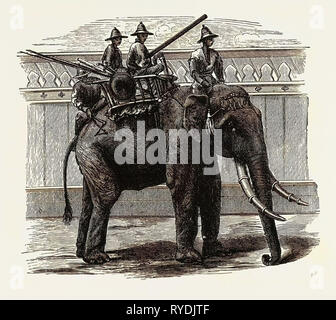 Una guerra Siamese Elephant Foto Stock