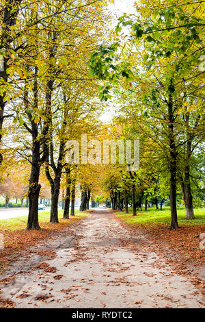 Rivne, Ucraina Rovno città in Ucraina occidentale outdoor parco verde in estate con il percorso sul marciapiede e nessuno con molti caduto foglie di castagno autunno autunno Foto Stock