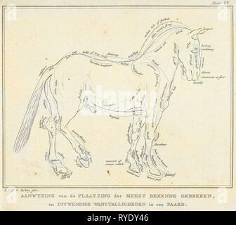 Anatomia del cavallo con possibili difetti nel fisico, Johannes le Francq van Berkhey, 1739 - 1812 Foto Stock