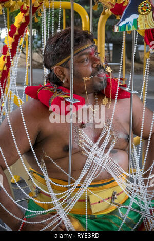 Devoto Uomo con 'Kavadi' catene gabbia forata nella sua pelle - Thaipusam festival - Singapore Foto Stock