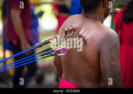 Funi e ganci larghi trafitto in devoto torna, closeup dettaglio - Thaipusam festival - Singapore Foto Stock