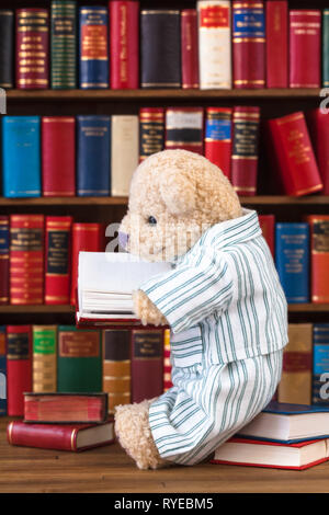 Simpatico orsacchiotto in nostalgico pigiami a strisce seduti sulla pila di libri nella parte anteriore dello scaffale, la lettura a libro aperto nelle sue mani Foto Stock