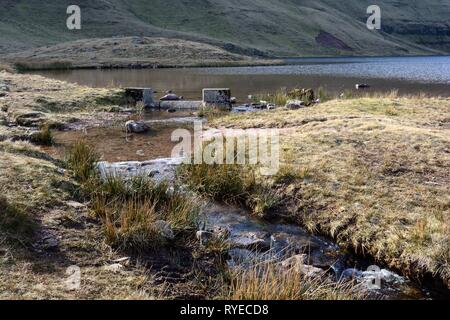 Fonte di Nant y Llyn fiume fuoriuscita dal Llyn y Ventilatore Ventola Fawr Brycheiniog Black Mountain Powys Parco Nazionale di Brecon Beacons Galles Cymru REGNO UNITO Foto Stock