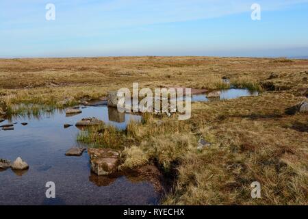 Fonte di Nant y Llyn fiume fuoriuscita dal Llyn y Ventilatore Ventola Fawr Brycheiniog Black Mountain Powys Parco Nazionale di Brecon Beacons Galles Cymru REGNO UNITO Foto Stock