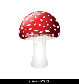 Rosso velenosi fly agaric isolati su sfondo bianco illustrazione vettoriale EPS10 Illustrazione Vettoriale