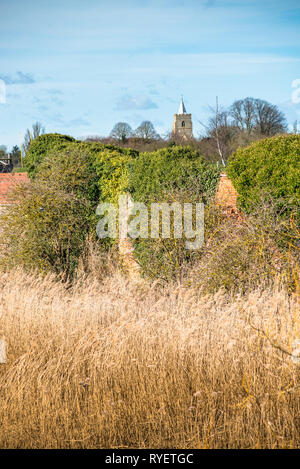 La Chiesa di San Pietro, West Lynn visto attraverso il Fiume Great Ouse da King's Lynn, Norfolk, Regno Unito Foto Stock