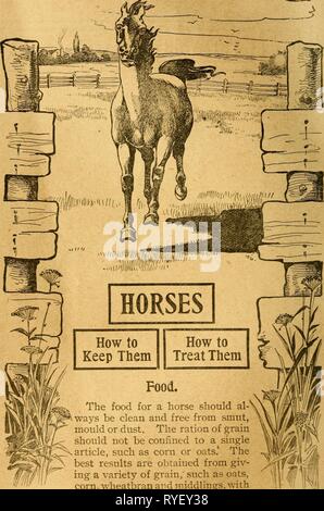 Il dott. Hess stock prenota : un trattato scientifico su cavalli, bovini, ovini, suini e pollame drhessstockbooks00hess Anno: 1901 Foto Stock