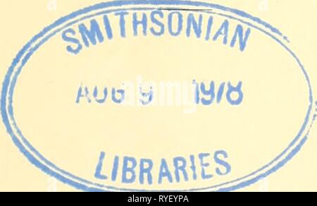 Entomologia economica per gli agricoltori e i coltivatori di frutta e per uso come un libro di testo nelle scuole agrarie e collegi; economicentomolo00smit Anno: 1906 ENTOMOLOGIA ECONOMICA AGRICOLTORE E FRUTTA-coltivatore, E PER USO COME UN LIBRO DI TESTO IN S,R scuole agrarie ^'' e collegi tUL. Da Giovanni B. SMITH, SC.D. Pf-ofessor di Entomologia nella Rutgers College: entomologo al New Jersey Agricultural College stazione di esperimento e il Netv Jersey membro consiglio di agricoltura ; Presidente della Associazione di entomologi economici, di Brooklyn Società Entomologica e della Nezv Jersey membro Microsc Foto Stock