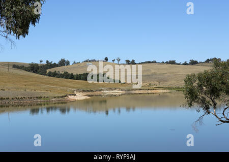 Il Lauriston serbatoio, Kyneton, Victoria, Australia, fornisce la maggior parte delle acque per la zona. Un luogo famoso per la pesca, avente un picnic o barbecue. Foto Stock