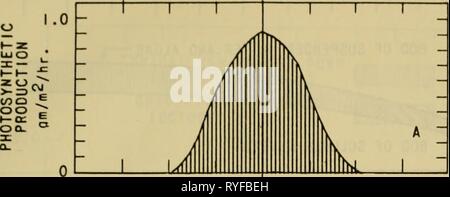 L'ecologia delle alghe : un simposio tenutosi presso il Pymatuning Laboratorio di Biologia di campo il 18 e il 19 giugno 1959 ecologyofalgaesy00tryo Anno: 1960 L uce di ^iiiiiiiiiiiiiMMMMiMJ 'V''T'*'*''''H''''''n Foto Stock