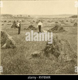 Agricoltura elementare con pratico elementaryagricu aritmetica00hatc Anno: 1907 IL RACCOLTO 71 l. Se i piselli sono venduti per la fabbrica di conserve, la vite deve essere portato l)ack sul terreno e arato sotto per arricchire il suolo. Esso è ora in condizione di gdod per un secondo raccolto di tabacco. Tempo del raccolto. Kcsiilfs di Rofafioii.-passiamo ora a vedere che cosa è stato fatto: a cinque anni di rotazione è stata pianificata, con- completi composti di tabacco, avena, trifoglio, mais e piselli, ritorno- ing al tabacco nuovamente il sesto anno. Nel corso di cinque anni è stato necessario concime questo pezzo di terra ma una volta. Nel corso di due Foto Stock