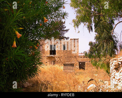 Edificio in rovina in attesa di ristrutturazione, con alberi e cespugli fioriti (Thevetia peruviana) in primo piano, Neokhorio, Cipro Foto Stock