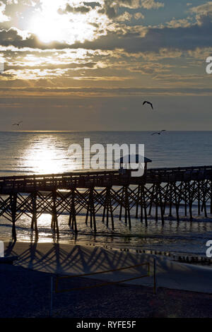 Stagliano pier con soccer net in primo piano sulla follia Beach, Carolina del Sud a sunrise come uccelli di mare ruota intorno il cielo Foto Stock