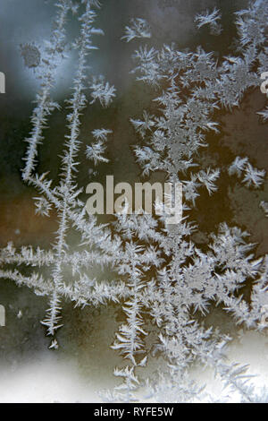 Bella di cristalli di ghiaccio formando strutture su una finestra a freddo in inverno, una cristallinità opera d'arte da madre natura Foto Stock