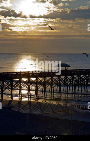 Stagliano pier sulla follia Beach, Carolina del Sud a sunrise come uccelli di mare ruota intorno il cielo Foto Stock