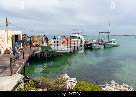 Pigeon Island nel gruppo Wallabi. Il Houtman Abrolhos isole si trovano a 60 chilometri al largo della costa di Geraldton in Australia Occidentale. Ci sono 122 pri Foto Stock