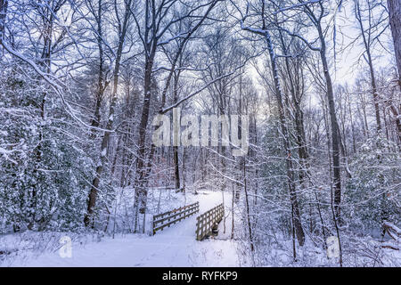 Vecchio rustico ponte pedonale coperto di neve in una foresta congelati Winter Wonderland Foto Stock