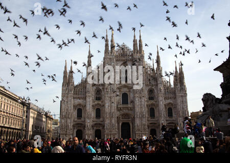 Stormo di piccioni volare sopra il duomo di Milano - Duomo di Milano - Milano, Lombardia, Italia Foto Stock