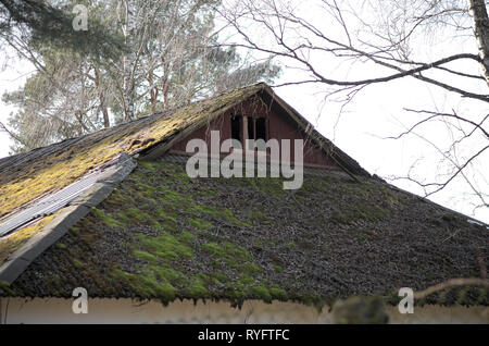 Moss-tetto coperto. vecchia casa abbandonata nel bosco. L'edificio è recintato. Finestre e pareti di colore bianco Foto Stock