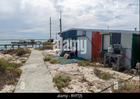 Pigeon Island nel gruppo Wallabi. Il Houtman Abrolhos isole si trovano a 60 chilometri al largo della costa di Geraldton in Australia Occidentale. Ci sono 122 pri Foto Stock