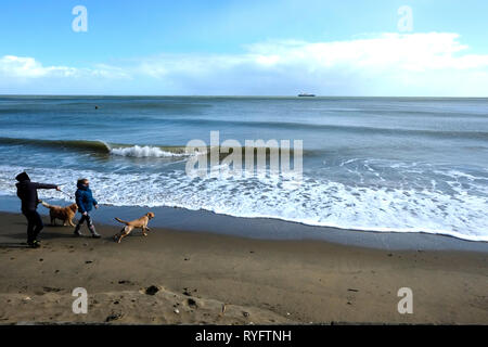 Un paio di piedi i loro cani su Shanklin beach, Isola di Wight. L'uomo getta una sfera nel mare per un cane per recuperare. Foto Stock