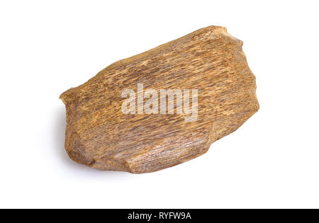 Legno di agar, chiamato anche aloeswood oudh, isolato su sfondo bianco. Foto Stock