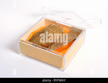 Legno di agar, chiamato anche aloeswood oudh. in una scatola di plastica su sfondo bianco. Foto Stock