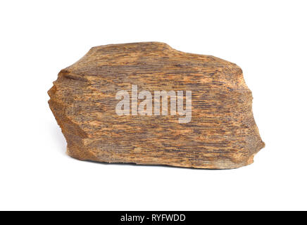 Legno di agar, chiamato anche aloeswood oudh, isolato su sfondo bianco. Foto Stock