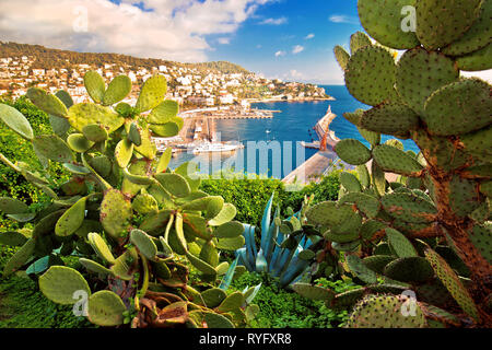 Città di Nizza coloratissimo waterfront e yachting harbour view attraverso il Mediterraneo e cactus agave, riviera francese, Alpes Maritimes dipartimento di Francia Foto Stock