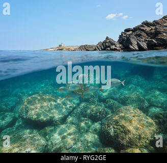 Spagna costa rocciosa con un faro e pesce con rocce sottomarine, mare Mediterraneo, El Port de la Selva, in Costa Brava Catalogna, vista suddivisa Foto Stock