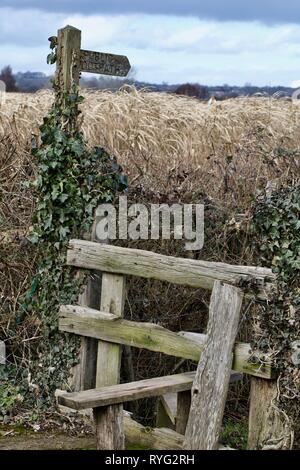 Un di legno stile struttura su un paese a piedi vicino a Taunton, Somerset.Inghilterra Foto Stock