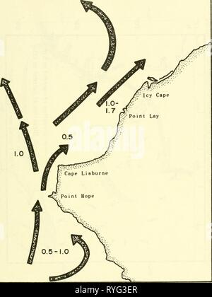 Un sondaggio ecologico nella zona orientale del Mare Chukchi : settembre-ottobre 1970 ecologicalsurvey00Unità Anno: 1972 figura 4.-superficie media velocità corrente (da USINHO Oceanographic Atlas dei mari polari-parte II, 1968). 16 Foto Stock